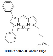 Bio-Synthesis Inc. Oligo Structure